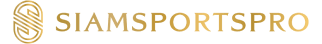 SiamSportsPro 与InVue